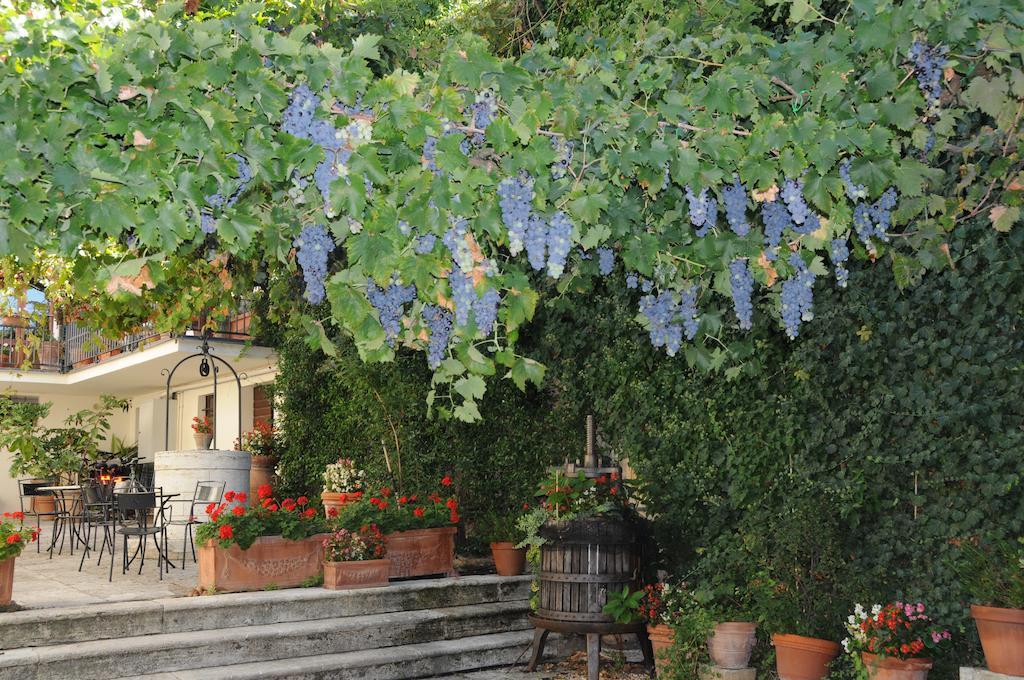 Casa Lemmi Pensionat San Quirico dʼOrcia Exteriör bild